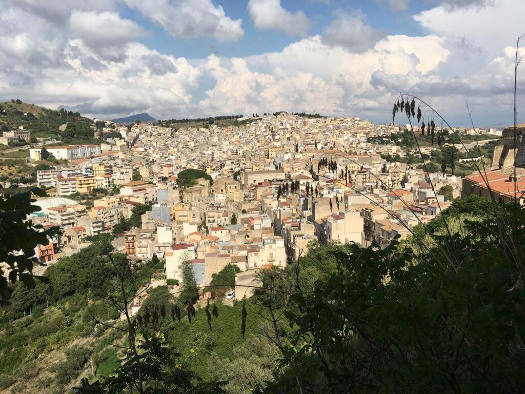 Apartament La Domus Di Segesta Calatafimi Zewnętrze zdjęcie